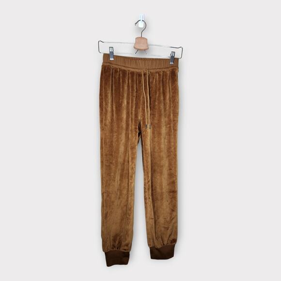 NEW Madewell MWL Velour Slim Joggers Bronze Newark Drawstring Pants Women Small - Picture 2 of 6